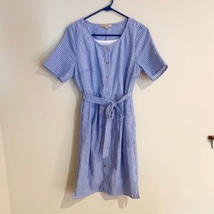 Blue and white stripe dress with buttons